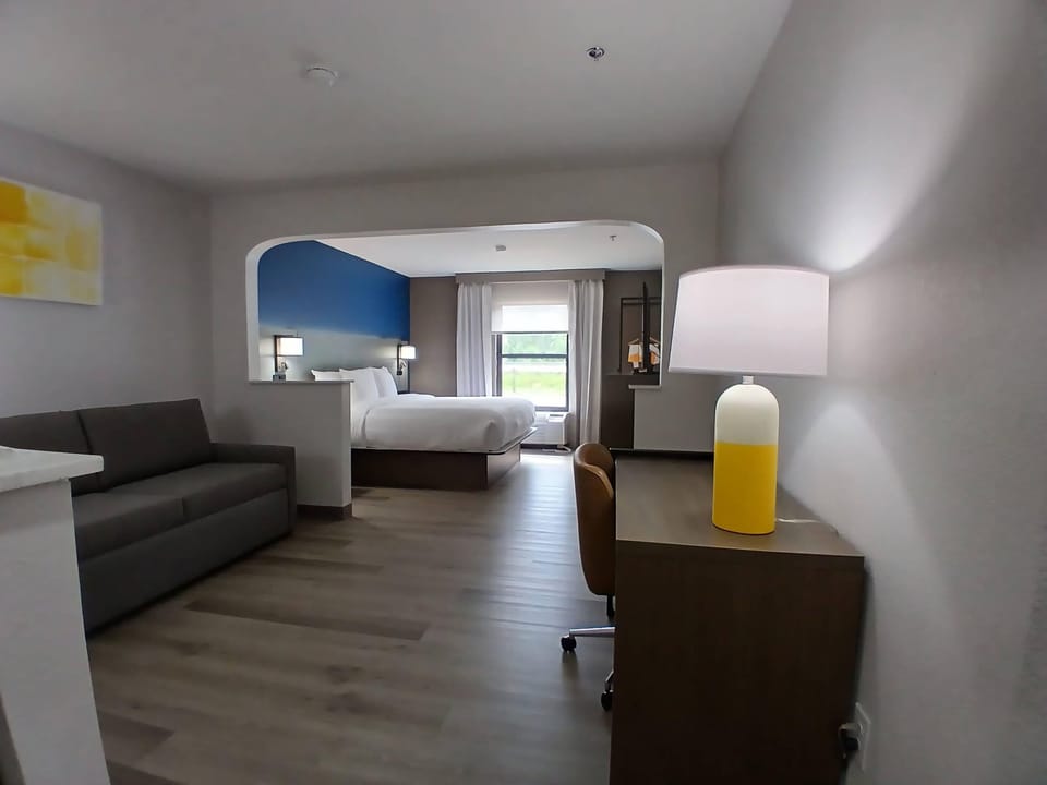 Executive Suite, 1 King Bed with Sofa Bed, Ground Floor | Premium bedding, pillowtop beds, desk, laptop workspace