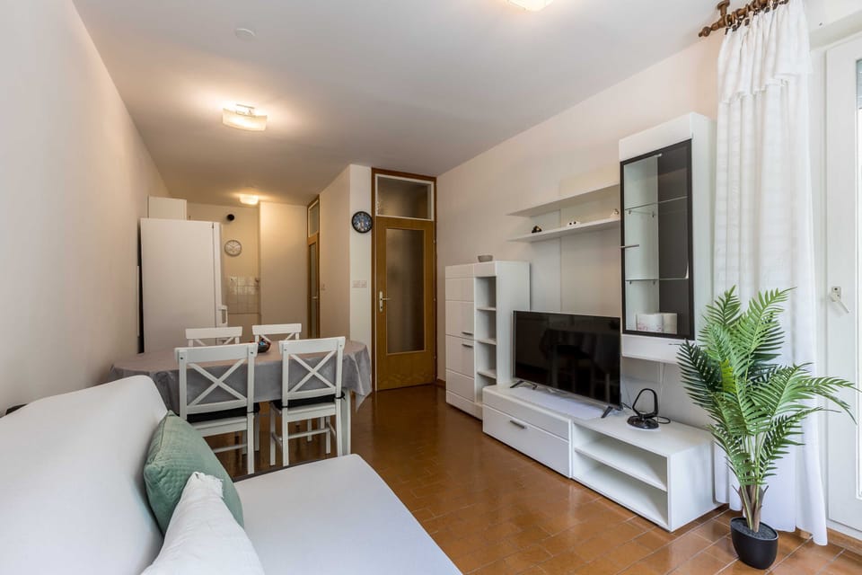 Apartment (One Bedroom Apartment) | Living room | TV