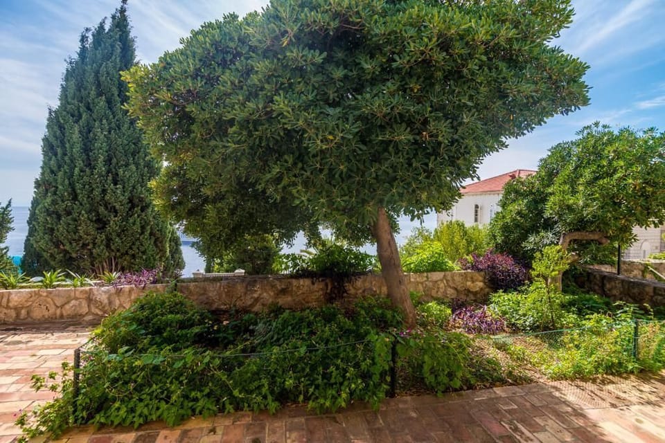 Apartment (Apartment Charming Arena - One Bedroo) | Terrace/patio