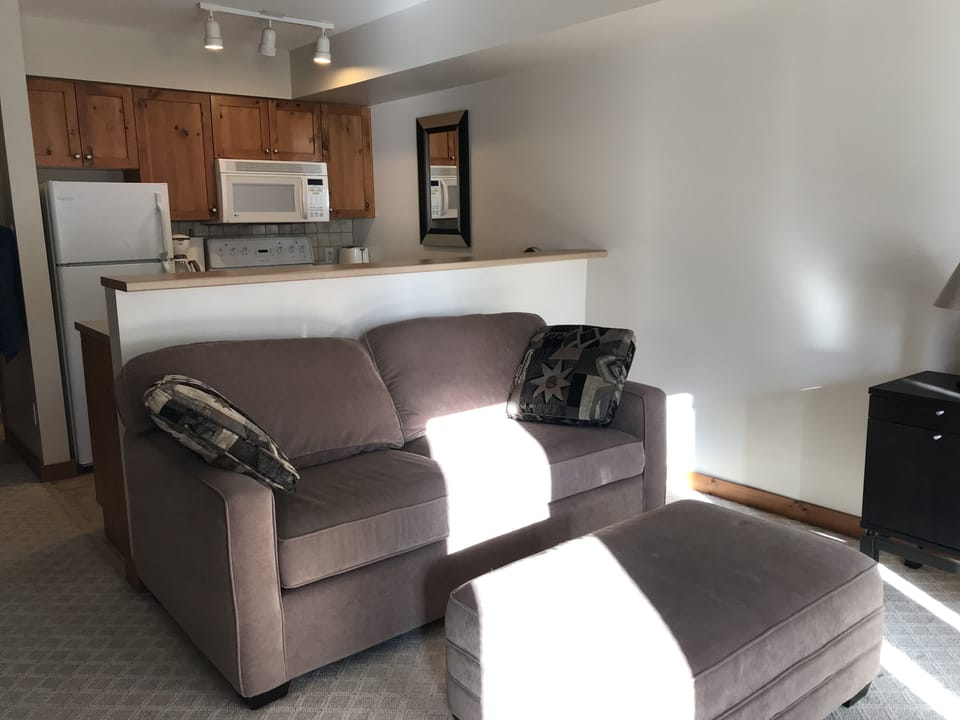 Pullout Couch - Double 