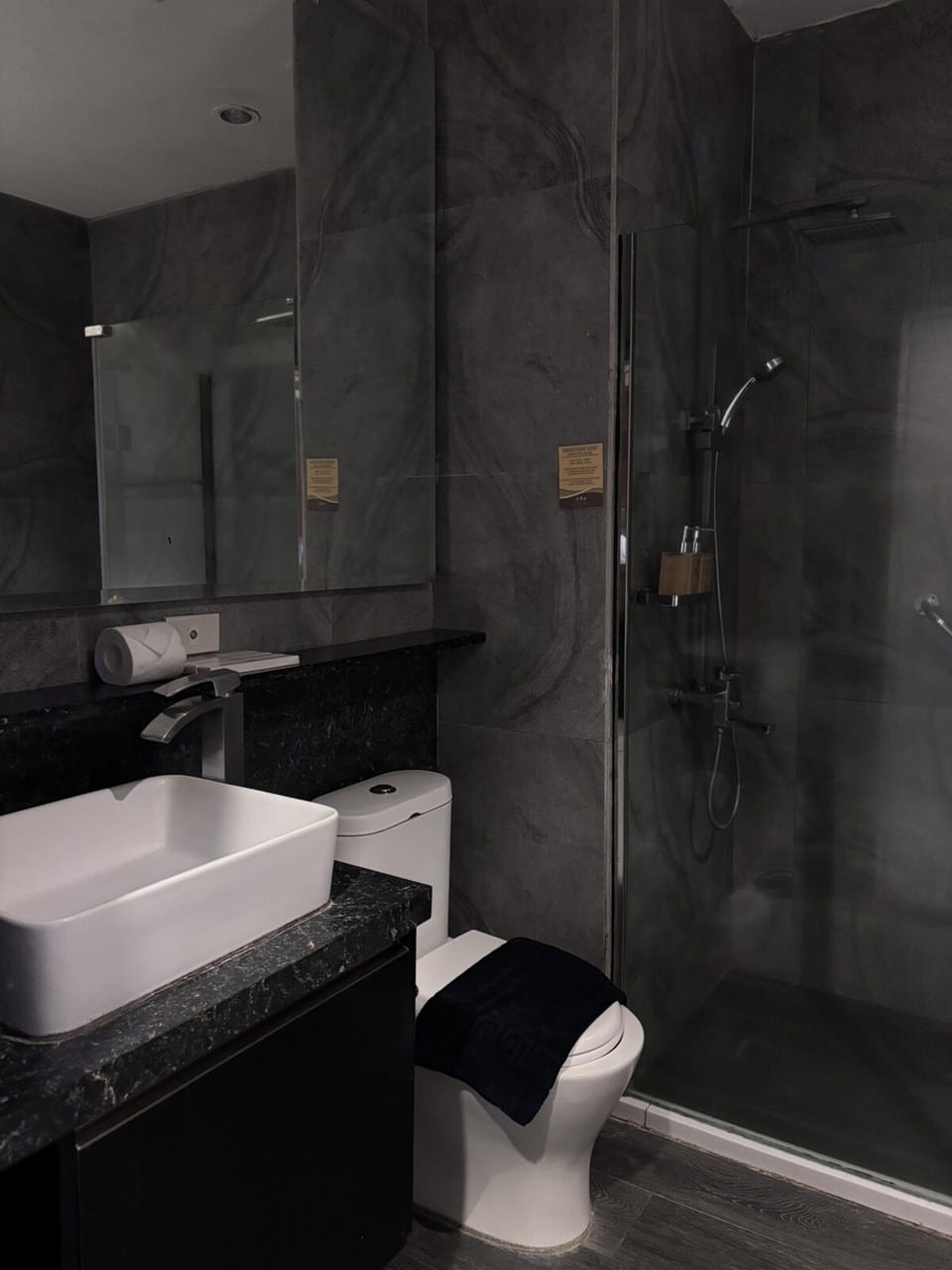 Deluxe King Room | Bathroom | Shower, rainfall showerhead, free toiletries, slippers