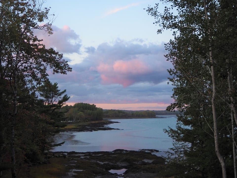 The view from the back deck is ever changing 