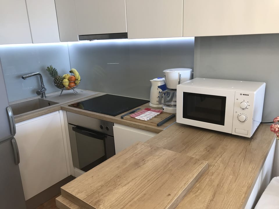 Apartment (Comfort One Bedroom Apartment) | Private kitchen | Fridge, microwave, stovetop, dishwasher