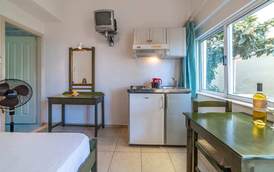 Economy Double/Twin Room, Fan Only, terrace | Private kitchenette | Mini-fridge, stovetop, electric kettle, cookware/dishes/utensils