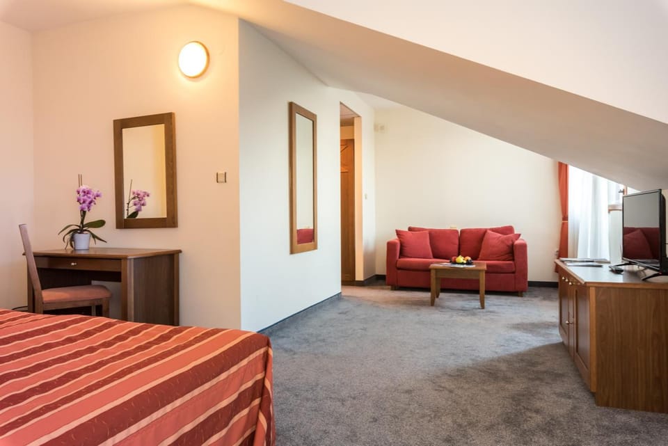 Minibar, soundproofing, iron/ironing board, free WiFi