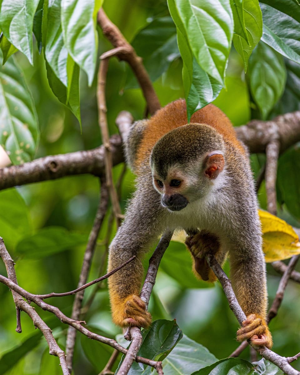 Local wildlife encounters make every stay unique and memorable