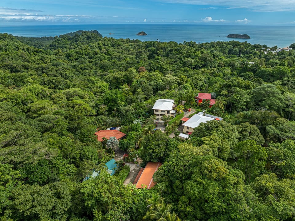 Sweeping views of the surrounding jungle landscape