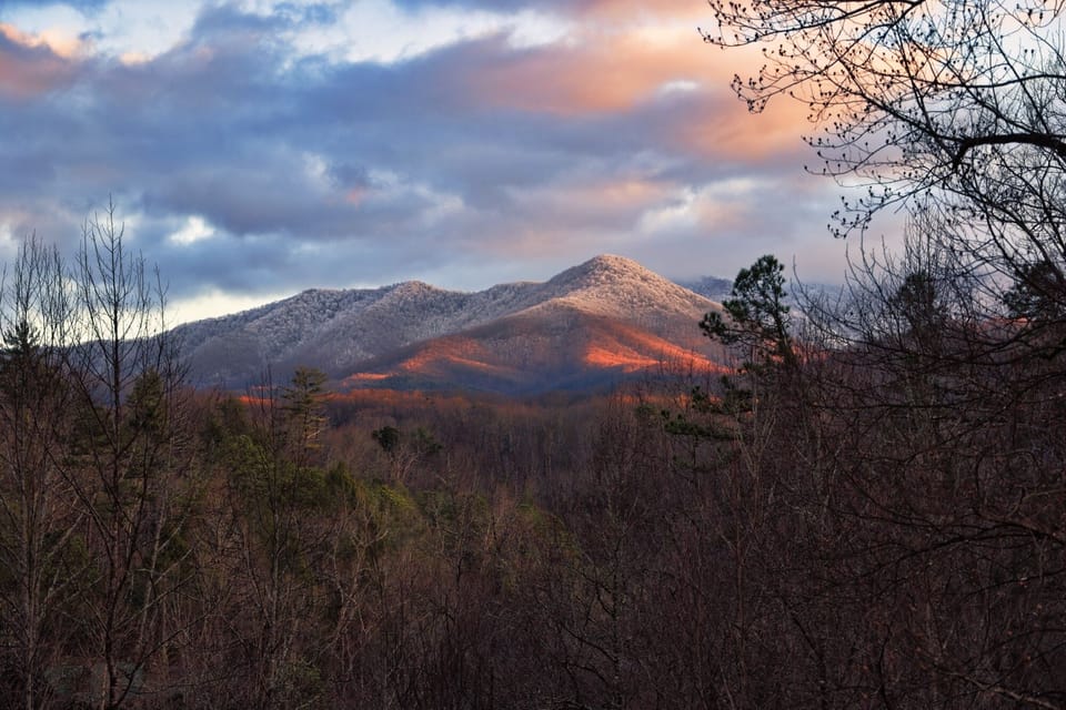 View of Mt. LeConte from the back deck.