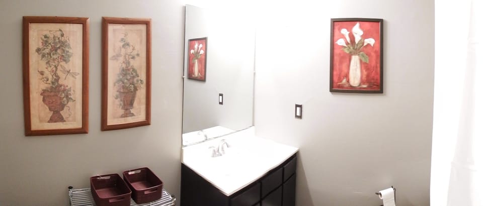View of the left side of the bathroom.
