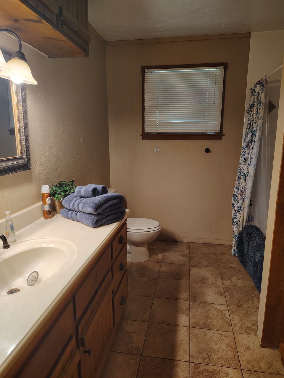 indoor, toilet