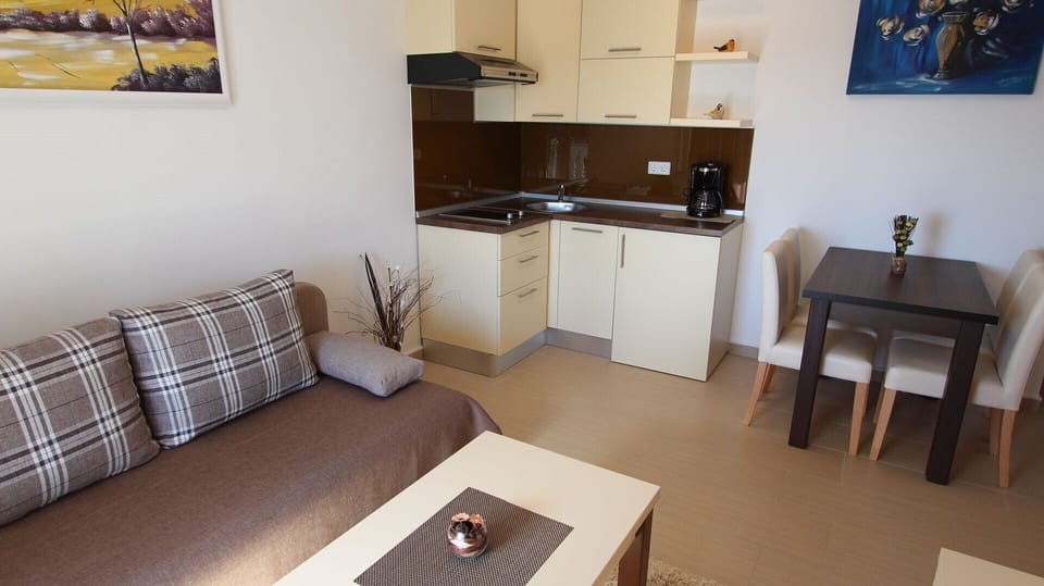 Living room and kitchen