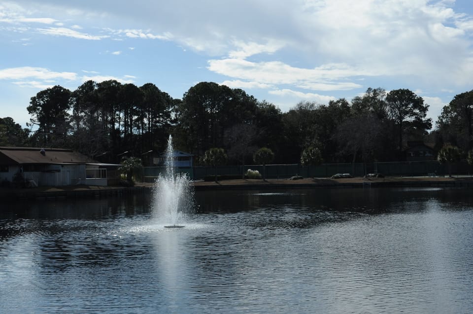 Lagoon View