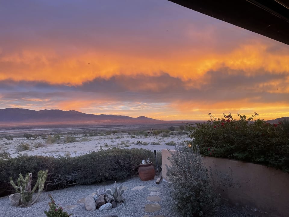 Backyard view