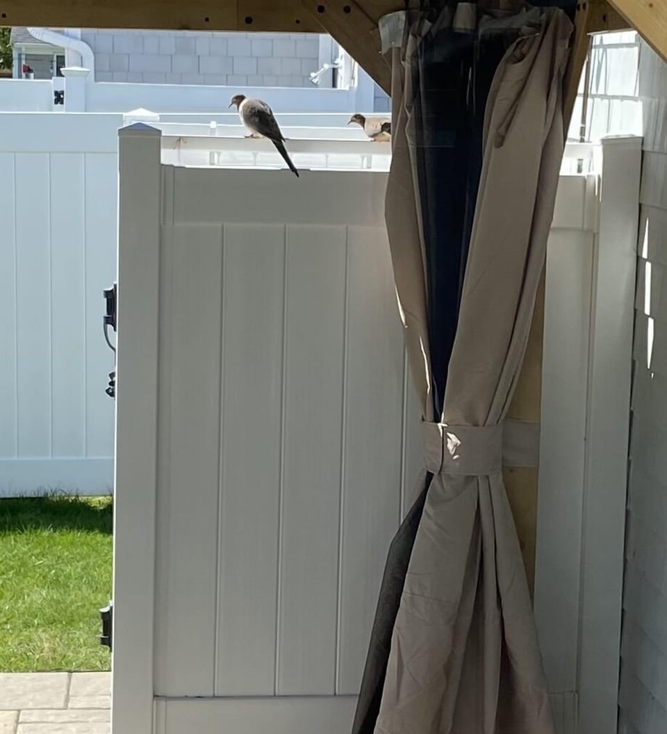 Outdoor shower