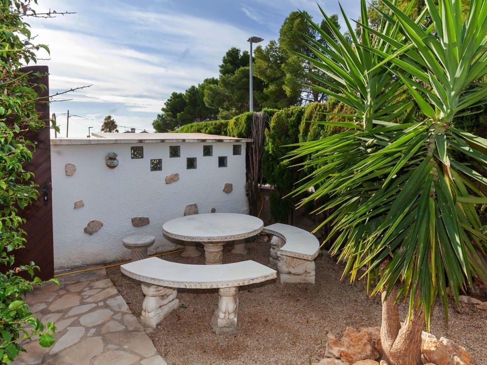 Plant, Sky, Property, Plant Community, Cloud, Tree, Botany, Vegetation, Outdoor Furniture, Arecales
