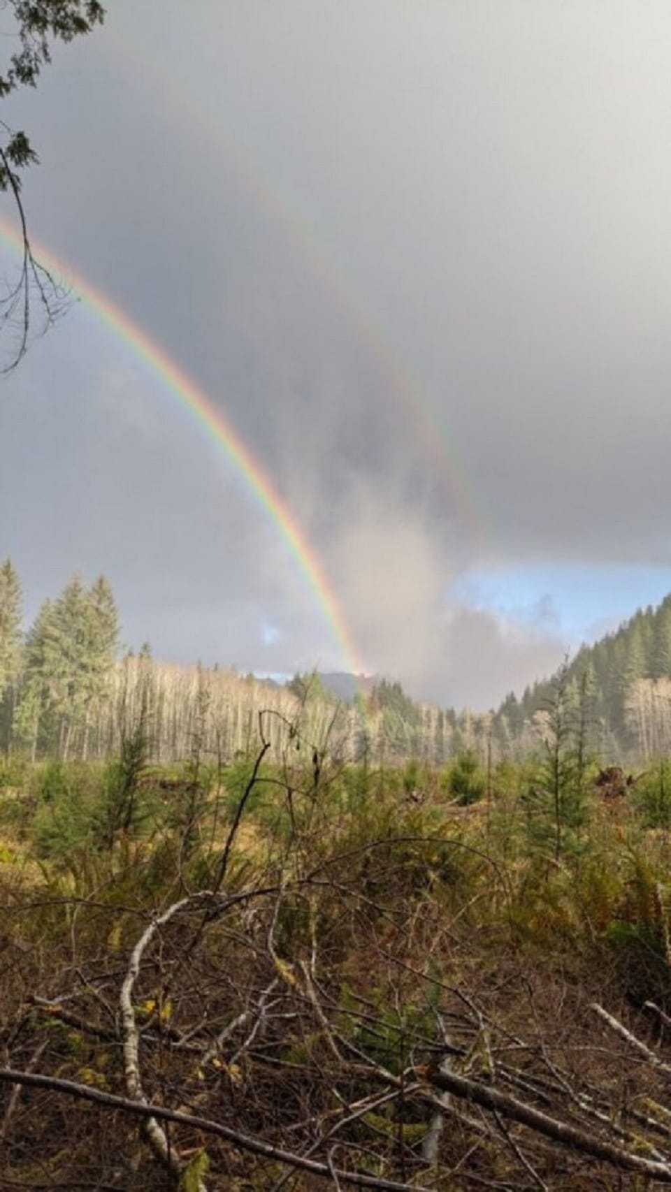 Spectacular views from deck of tiny house