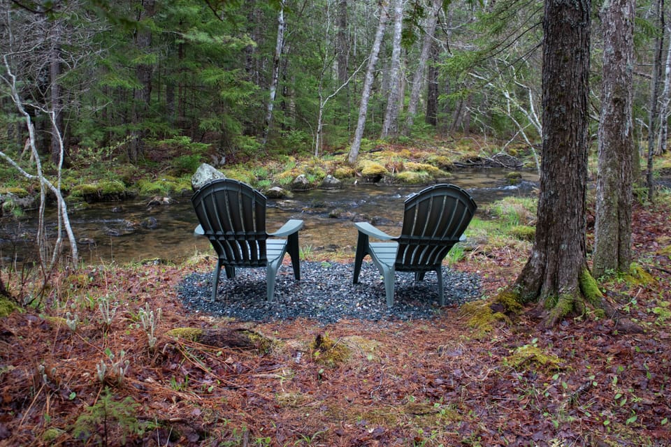 Peaceful area along Ripples Stream; accessible via walking paths on property.