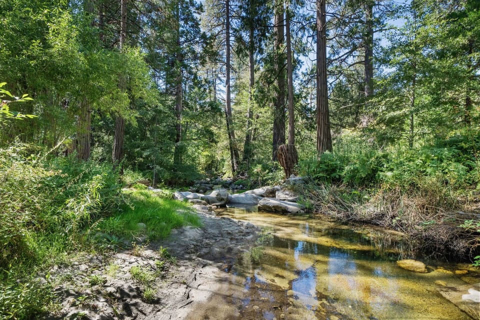 Direct access to the creek!