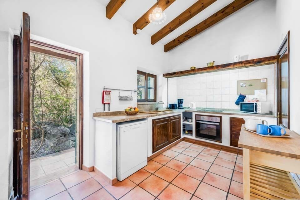 Finca Tomas Cala Sant Vicenç (32)