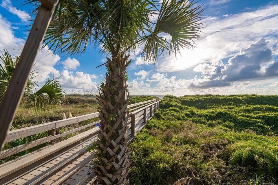 Beach Walkover