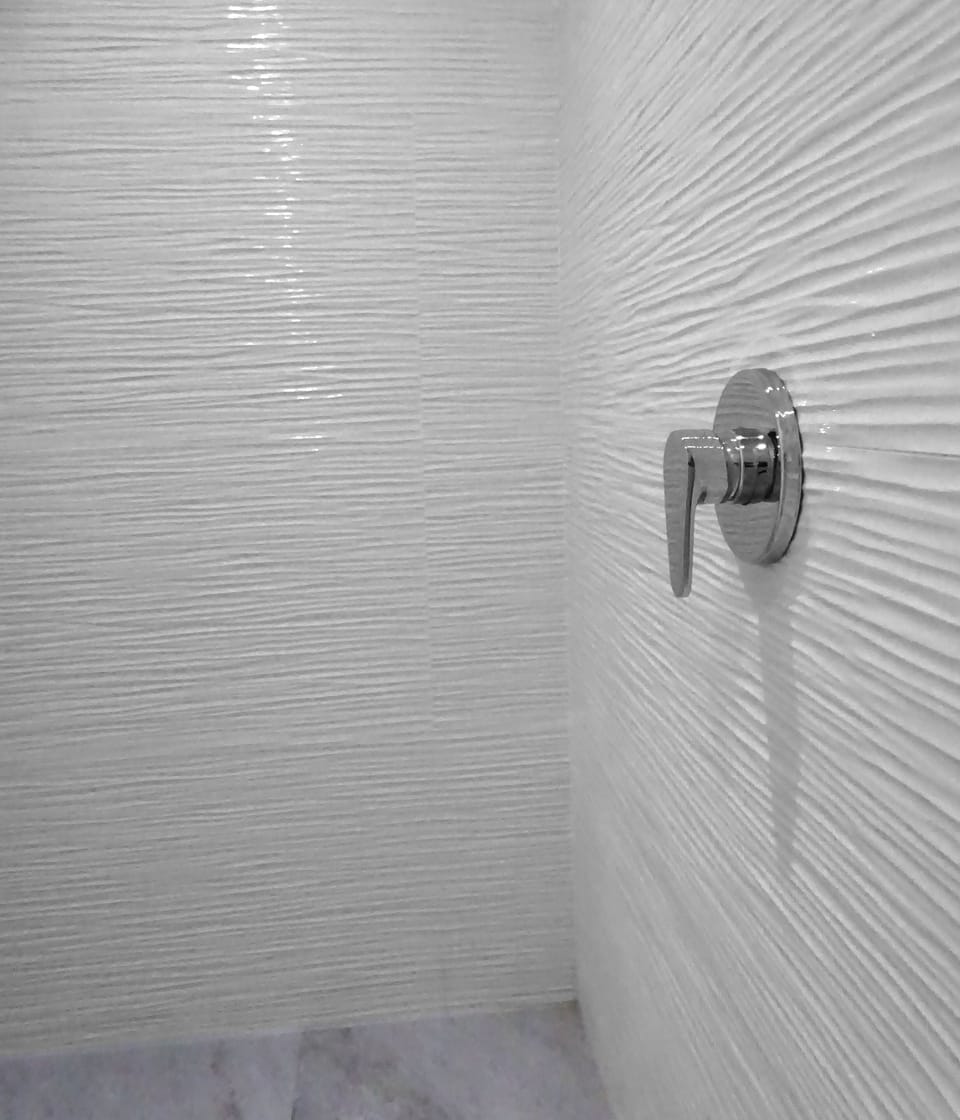 Shower, towels, soap, shampoo