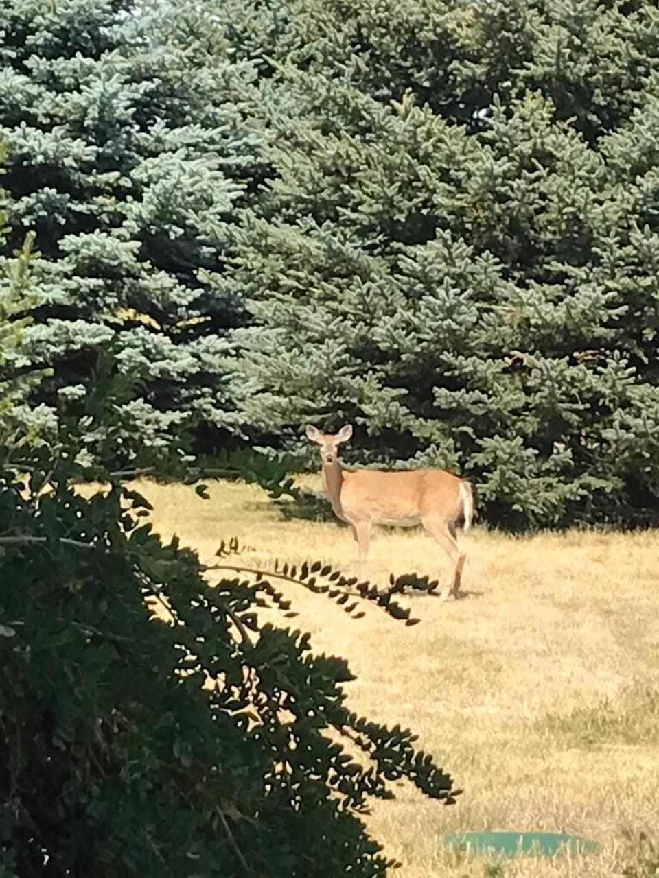 Watch for wildlife | Exterior