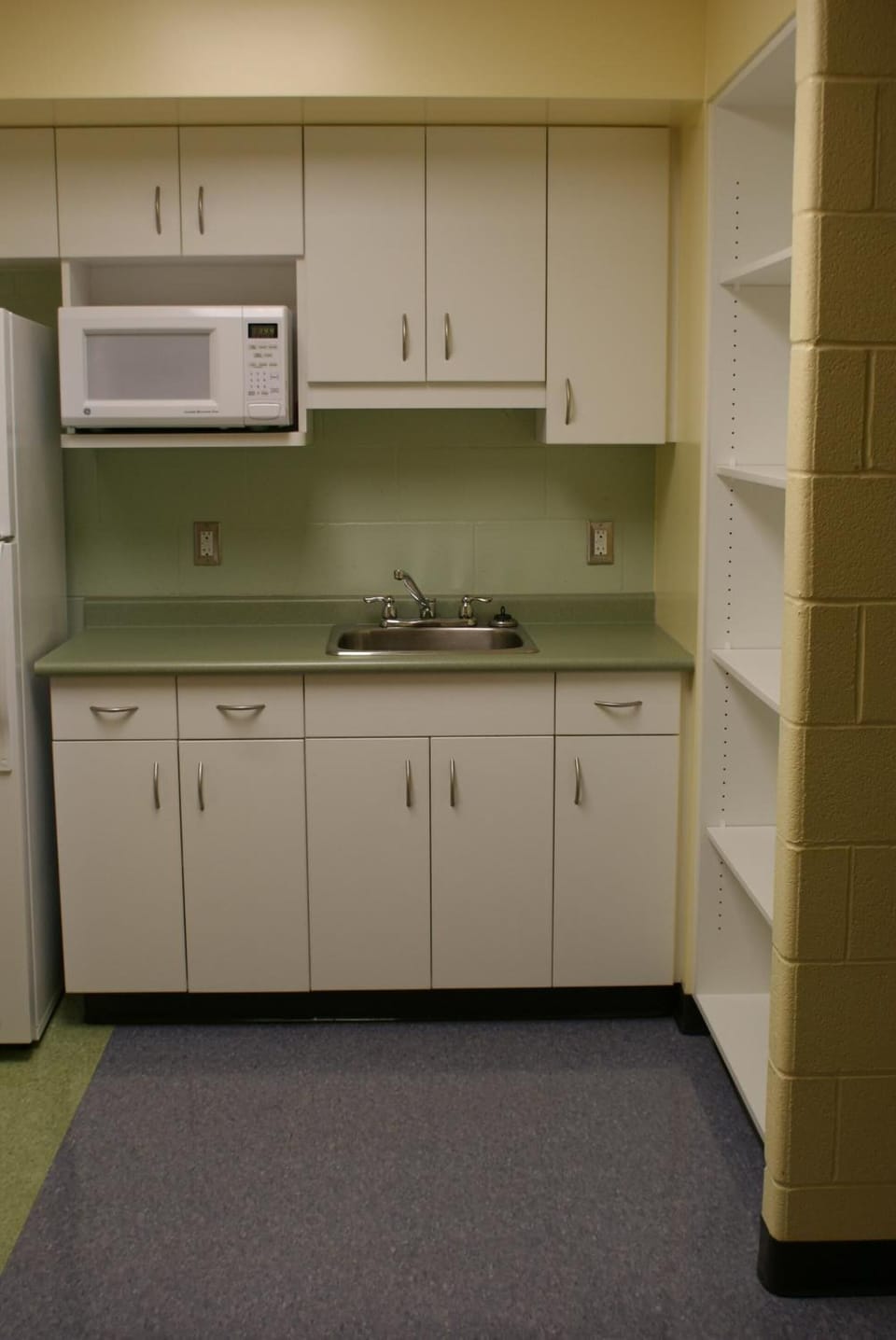 Full-size fridge, microwave