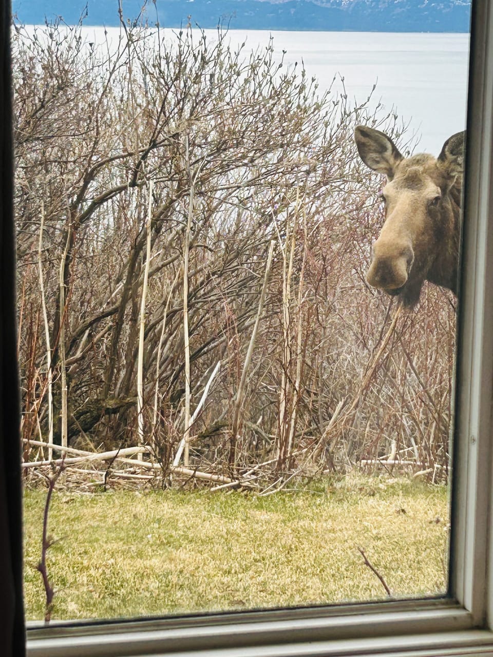 View from property