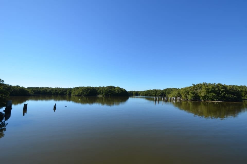 View from Dock on Property