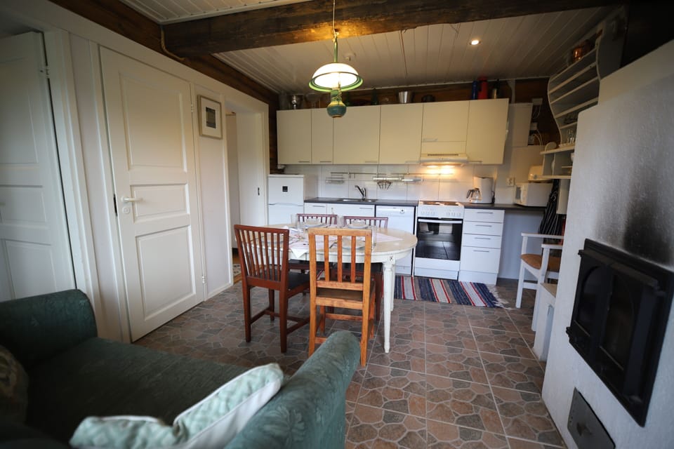 Cabin | Private kitchen | Fridge, microwave, oven, stovetop