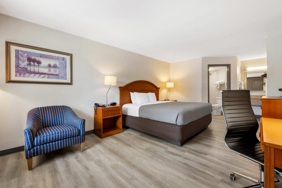 Premium bedding, desk, soundproofing, iron/ironing board
