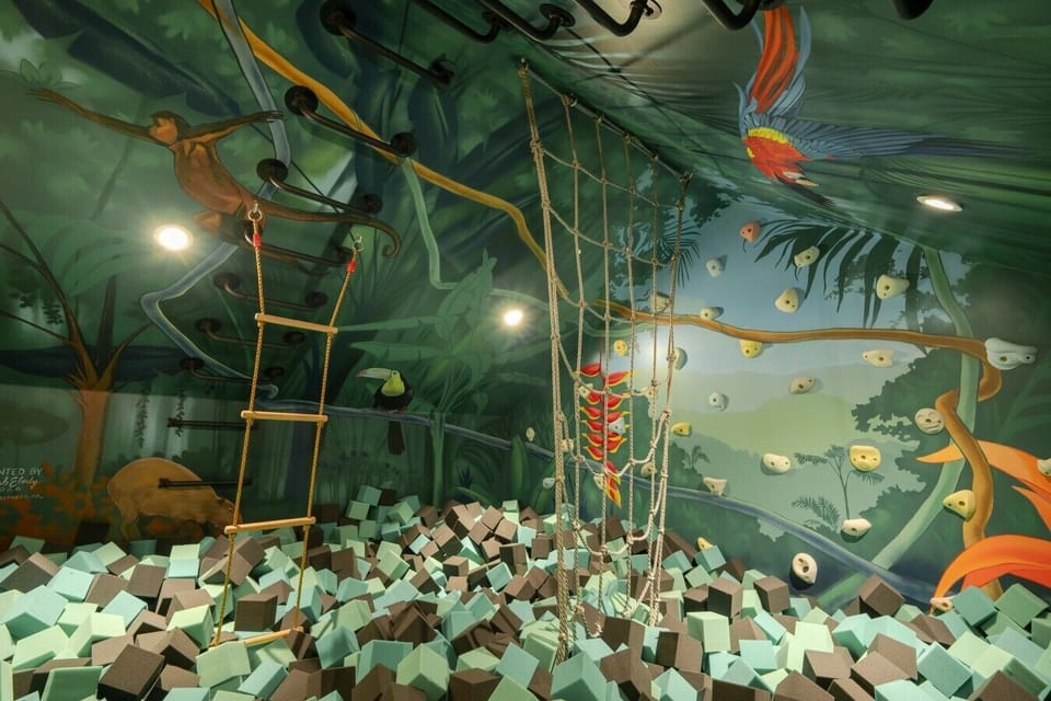 Jungle foam pit - Kids paradise for hours