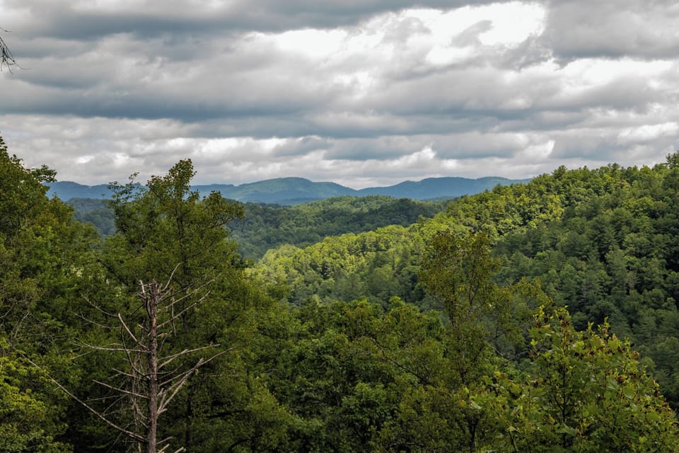 Breathtaking mountain vistas stretch across rolling forested ridges, offering a serene backdrop to the property's scenic location in the heart of nature.