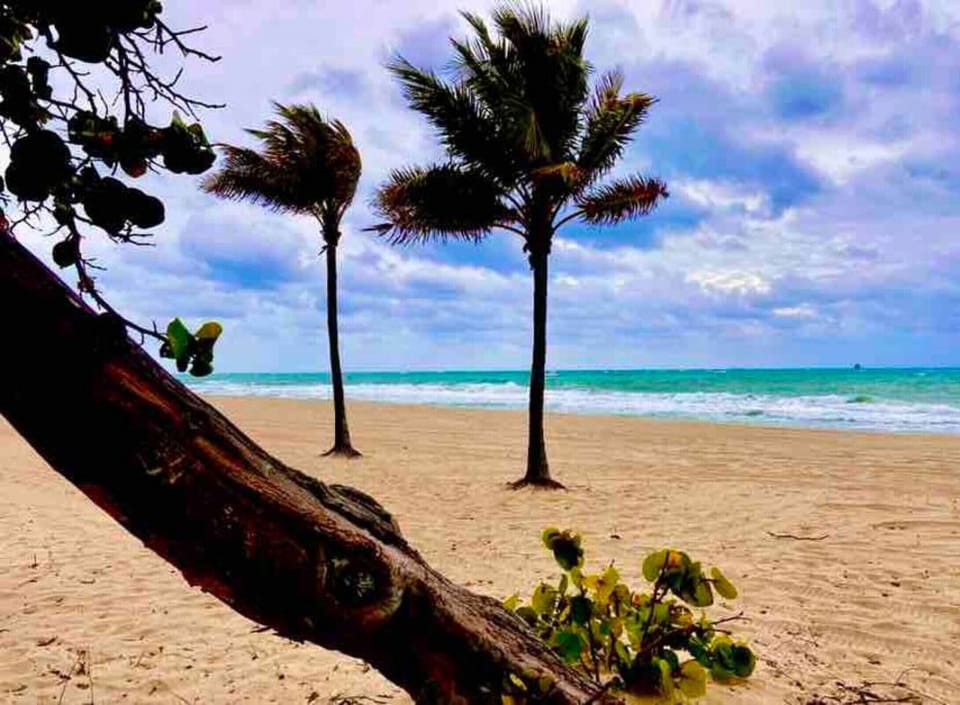 beach