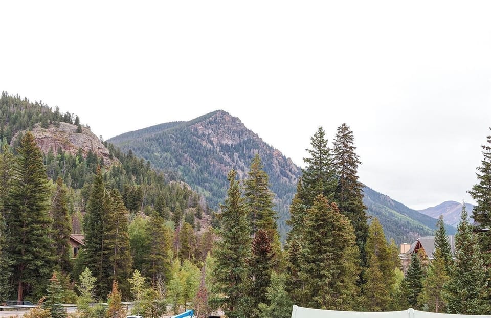 A scenic view features treed mountains with a mix of green and brown foliage under a cloudy sky. There are a few buildings and vehicles at the base of the mountains.
