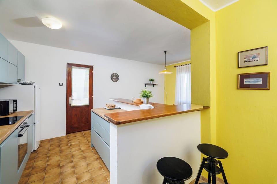 Apartment (A1) | Private kitchen | Fridge, microwave, oven, stovetop