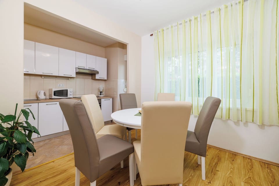 Apartment (A1) | Private kitchen | Fridge, microwave, oven, stovetop
