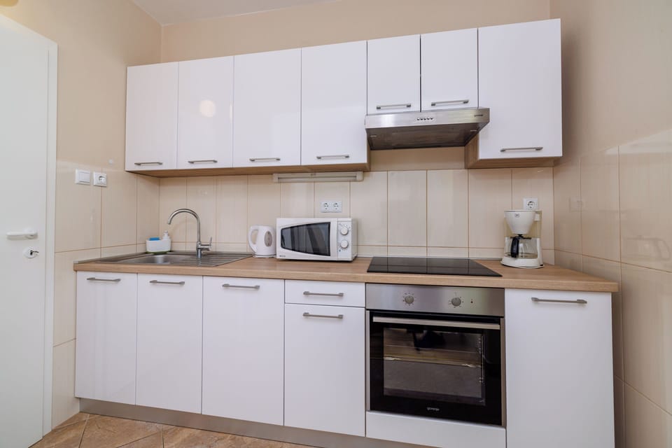 Apartment (A1) | Private kitchen | Fridge, microwave, oven, stovetop