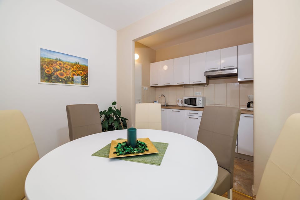 Apartment (A1) | Private kitchen | Fridge, microwave, oven, stovetop