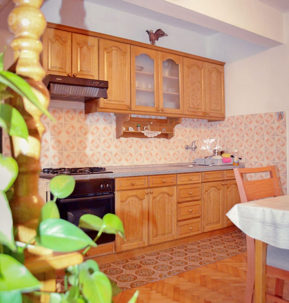 Apartment (A1) | Private kitchen | Fridge, oven, stovetop, electric kettle