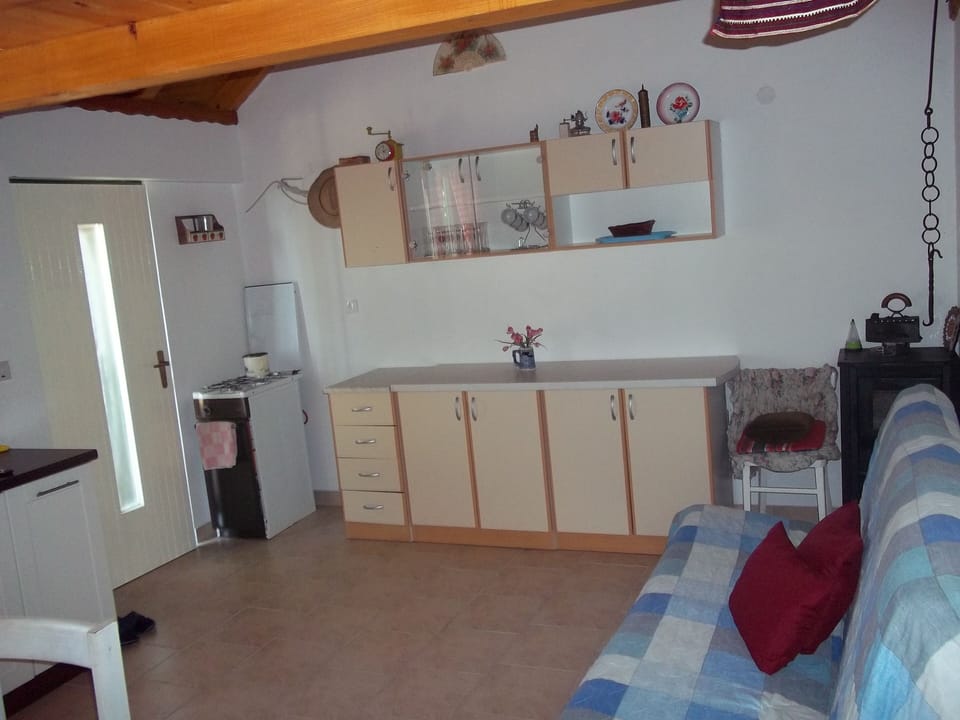 House (Holiday Home with Terrace) | Private kitchen | Fridge
