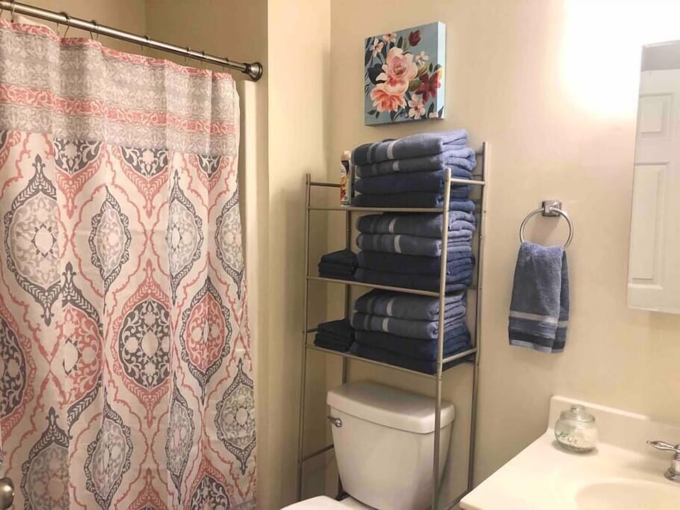 Master Bathroom (1)