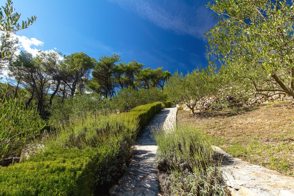Hiking