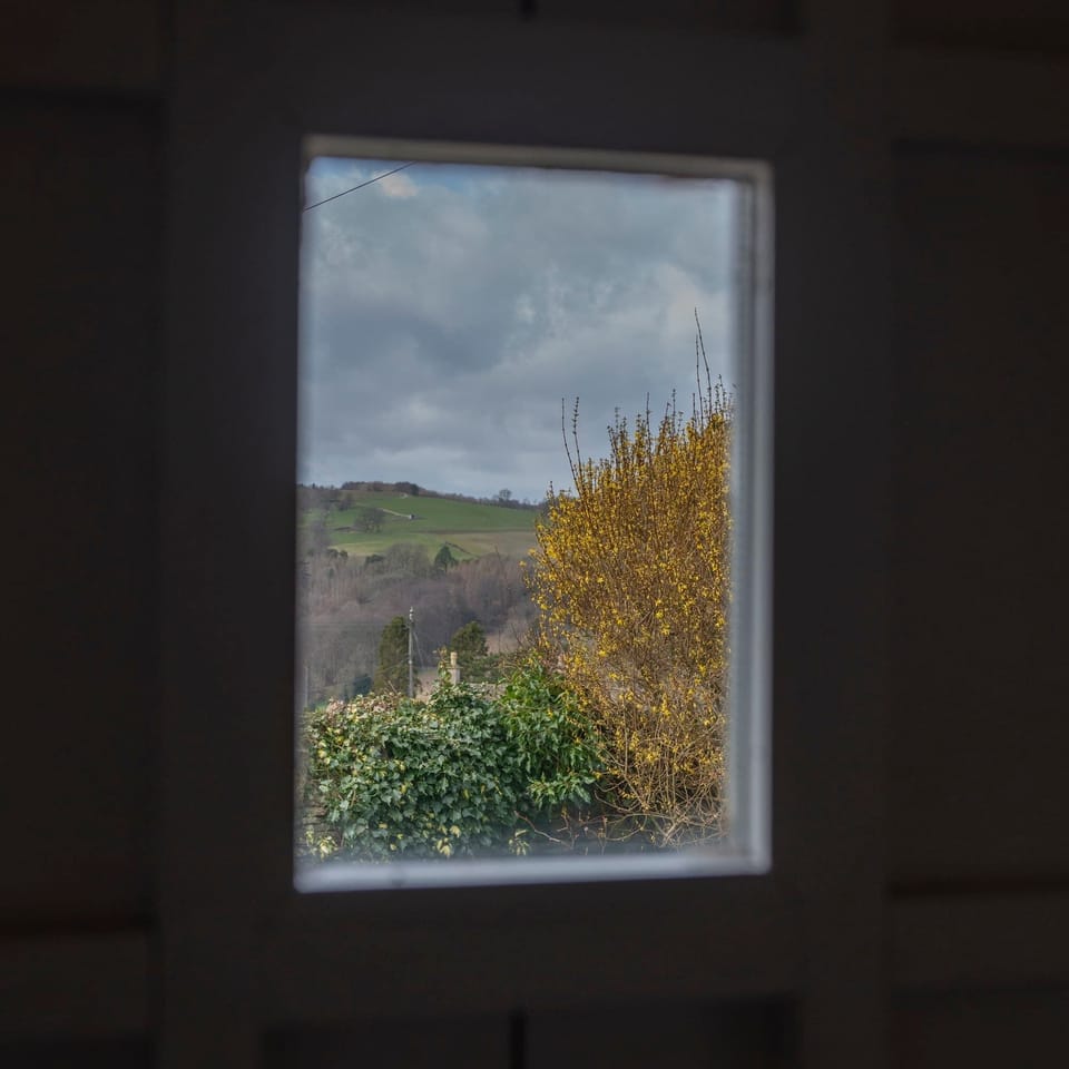 Beautiful back garden views