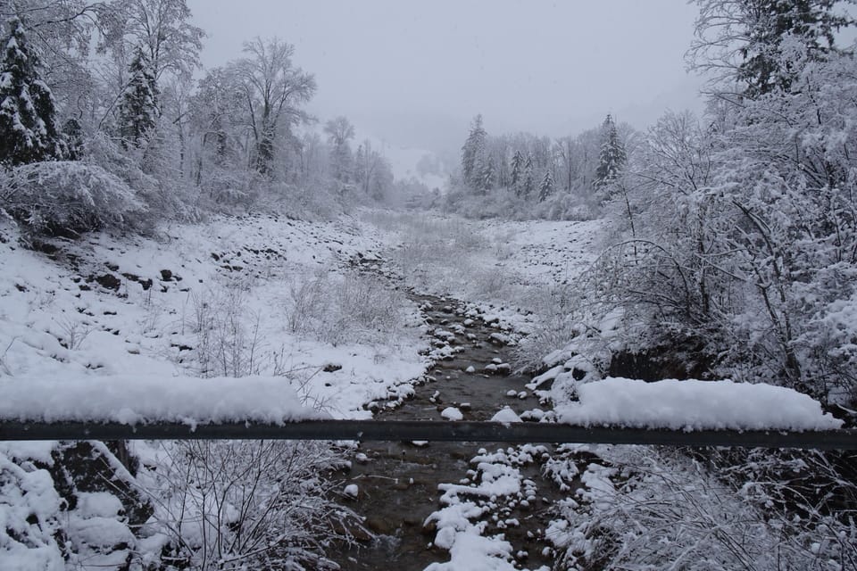 Snow and ski sports