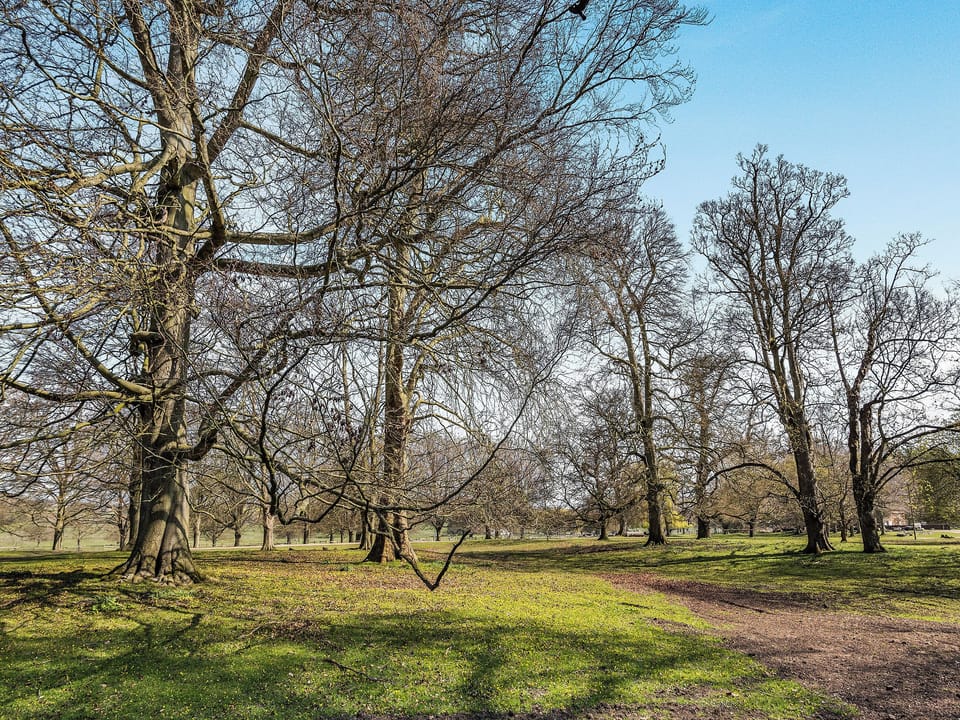 Surrounding area | Lion Gate Lodge, Scrivelsby