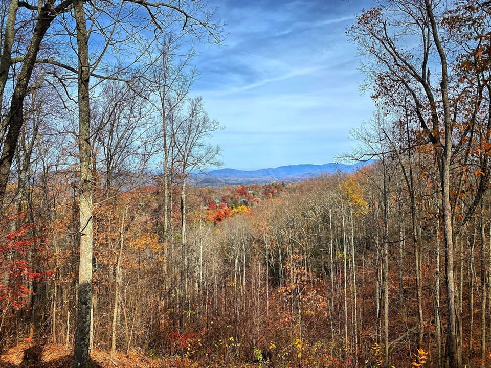 Fall/Winter view