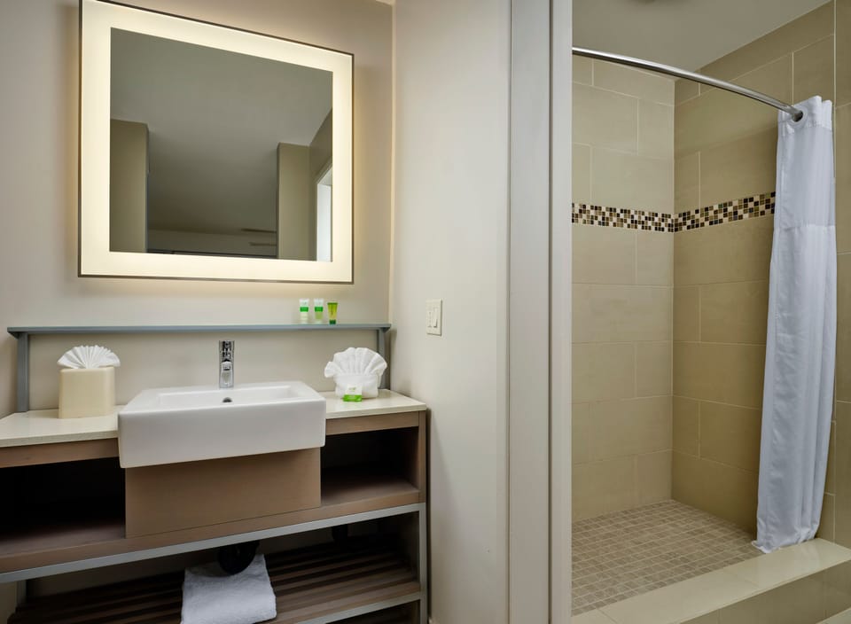 Shower, eco-friendly toiletries, hair dryer, towels