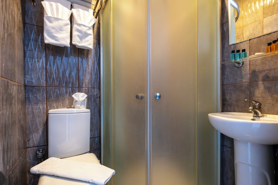 Standard Double or Twin Room | Bathroom | Shower, hydromassage showerhead, free toiletries, hair dryer