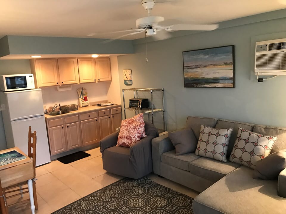Livingroom and kitchen